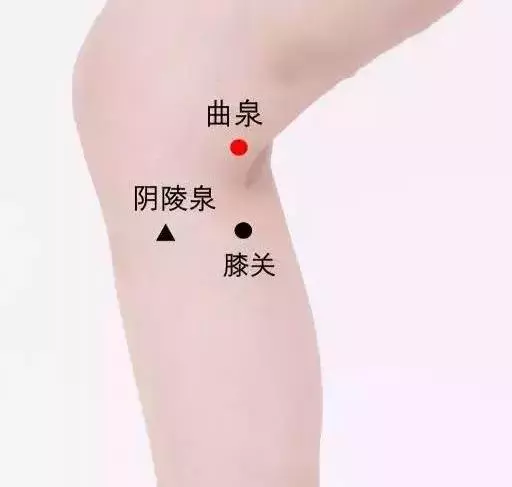 春主生髮,應肝,是艾灸養肝、調理肝火旺的大好時機!
