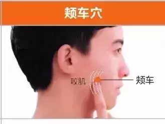 足陽明胃經45個針灸穴位圖,高清穴位圖解!收了吧!