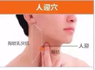 足陽明胃經45個針灸穴位圖,高清穴位圖解!收了吧!