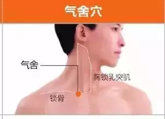 足陽明胃經45個針灸穴位圖,高清穴位圖解!收了吧!