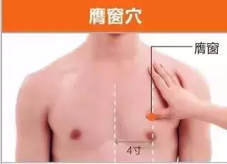 足陽明胃經45個針灸穴位圖,高清穴位圖解!收了吧!