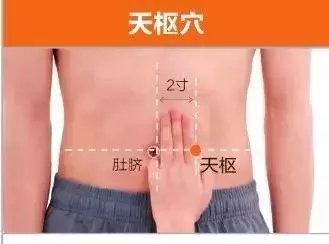 足陽明胃經45個針灸穴位圖,高清穴位圖解!收了吧!