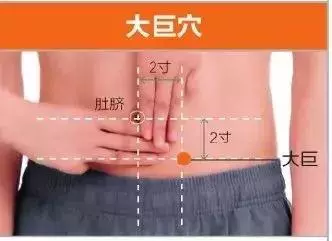足陽明胃經45個針灸穴位圖,高清穴位圖解!收了吧!