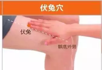 足陽明胃經45個針灸穴位圖,高清穴位圖解!收了吧!