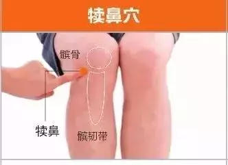 足陽明胃經45個針灸穴位圖,高清穴位圖解!收了吧!