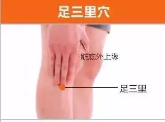 足陽明胃經45個針灸穴位圖,高清穴位圖解!收了吧!