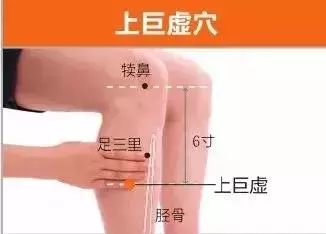 足陽明胃經45個針灸穴位圖,高清穴位圖解!收了吧!