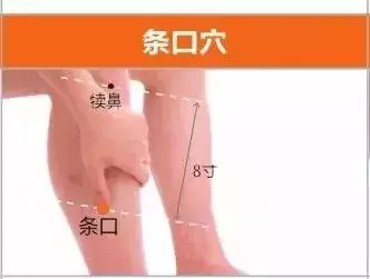 足陽明胃經45個針灸穴位圖,高清穴位圖解!收了吧!