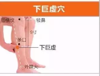 足陽明胃經45個針灸穴位圖,高清穴位圖解!收了吧!