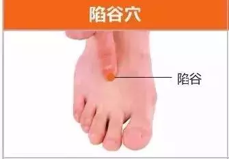 足陽明胃經45個針灸穴位圖,高清穴位圖解!收了吧!