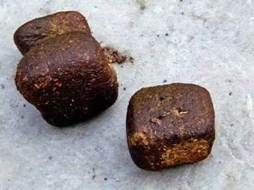 21個你一直以來對世界的誤解