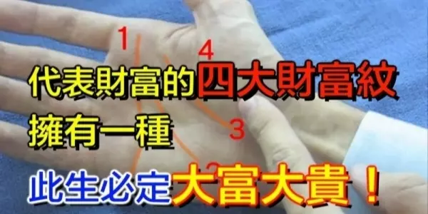 代表財富的四大財富紋,擁有一種,此生必定大富大貴,財富一生!