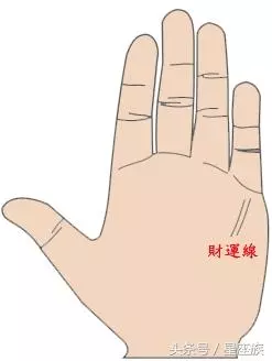 代表財富的四大財富紋,擁有一種,此生必定大富大貴,財富一生!