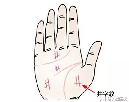 代表財富的四大財富紋,擁有一種,此生必定大富大貴,財富一生!