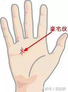 代表財富的四大財富紋,擁有一種,此生必定大富大貴,財富一生!