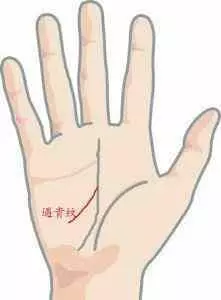 代表財富的四大財富紋,擁有一種,此生必定大富大貴,財富一生!