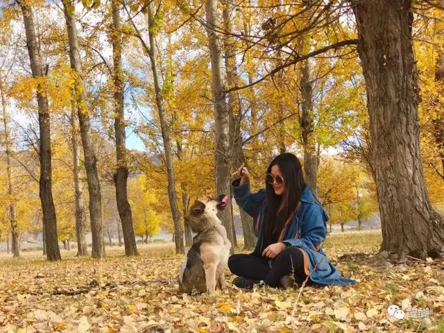 拉薩最美女孩:那些我救助的流浪小可愛,讓我看見生命的光