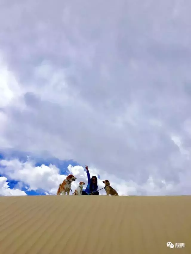 拉薩最美女孩:那些我救助的流浪小可愛,讓我看見生命的光