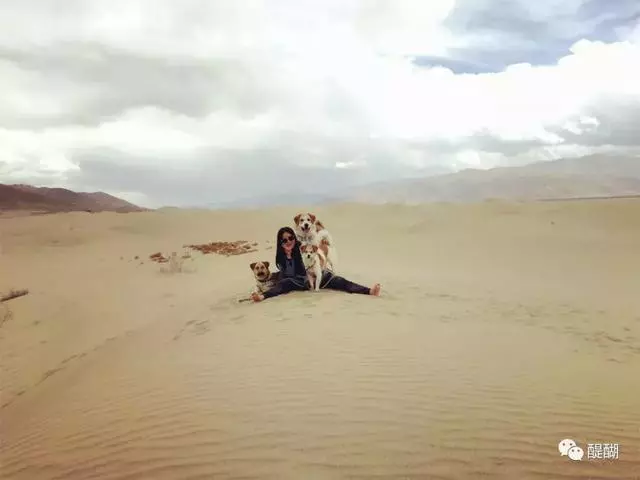 拉薩最美女孩:那些我救助的流浪小可愛,讓我看見生命的光