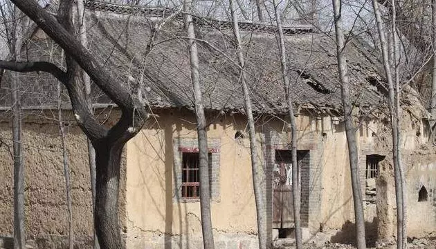 兒子賭氣外出十年,發財後帶五十萬回家,進門後看到一個人呆了