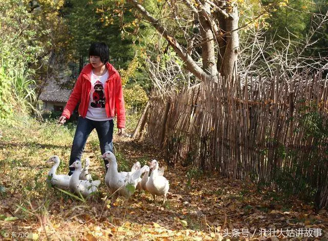 住女兒家 半夜起來聽到親家母和女婿的對話 我手扶著牆差點暈倒