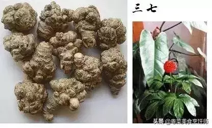 幾種煲湯藥材功效圖解