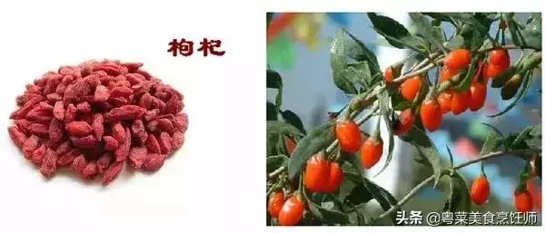 幾種煲湯藥材功效圖解