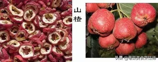幾種煲湯藥材功效圖解