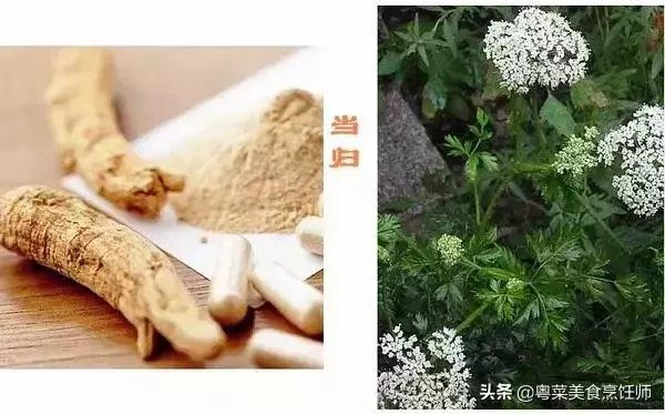 幾種煲湯藥材功效圖解