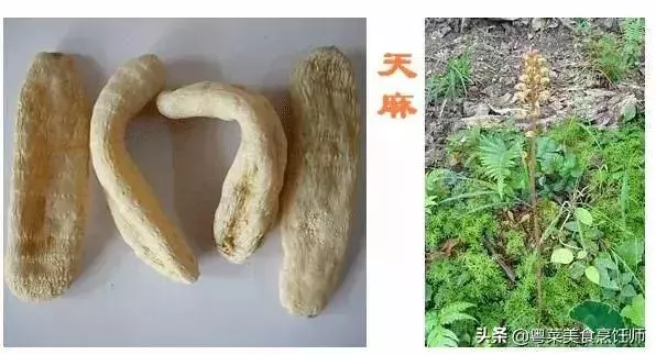 幾種煲湯藥材功效圖解