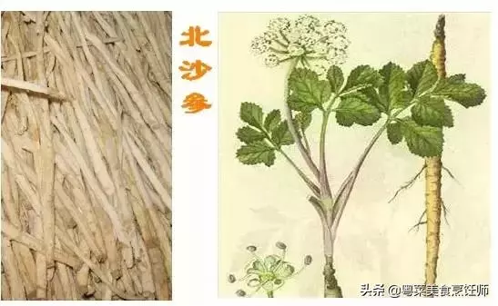 幾種煲湯藥材功效圖解