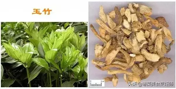 幾種煲湯藥材功效圖解