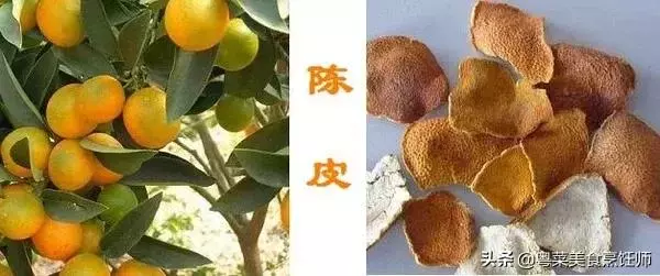 幾種煲湯藥材功效圖解