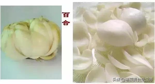 幾種煲湯藥材功效圖解