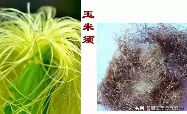 幾種煲湯藥材功效圖解