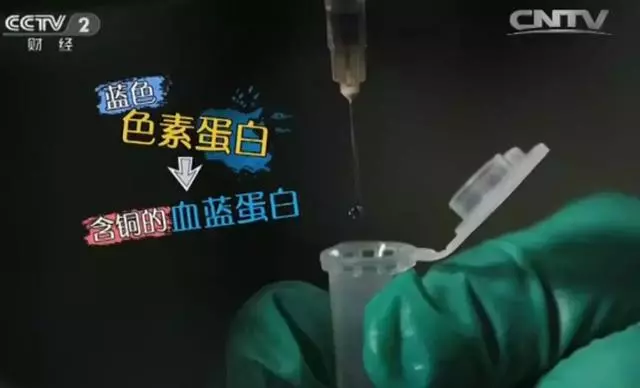 這40個冷知識,據說只有1%的人知道……顛覆你的認知!