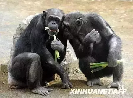 這40個冷知識,據說只有1%的人知道……顛覆你的認知!