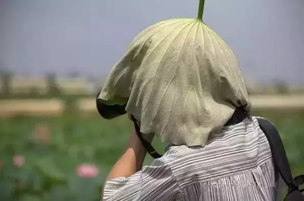 有一種「二貨」叫攝影師