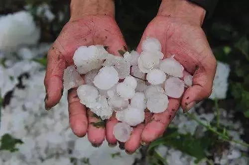 緬甸這場冰雹到底有多兇猛?西瓜都被砸「開花」了