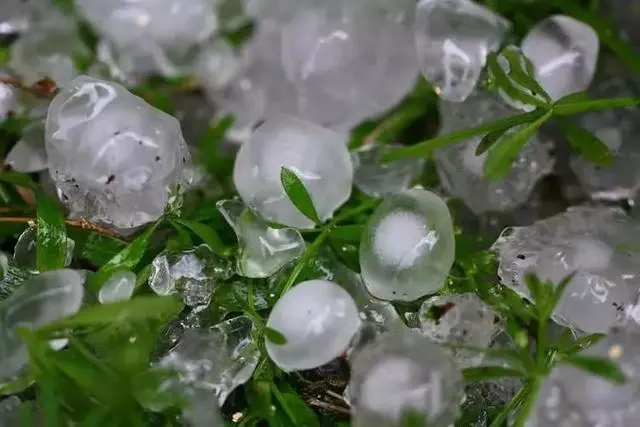 緬甸這場冰雹到底有多兇猛?西瓜都被砸「開花」了