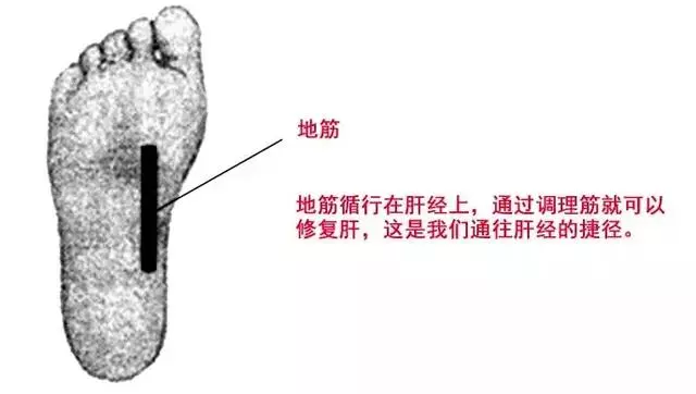 揉「地筋!很好的養生方法!脾氣越暴的人多看看!
