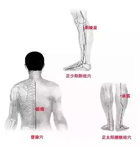 揉「地筋!很好的養生方法!脾氣越暴的人多看看!