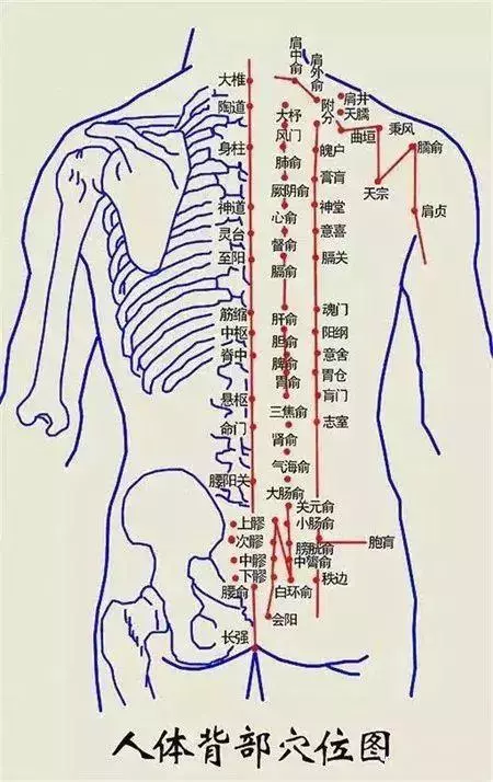 疏通一條線,很多疾病,不知不覺中消失了