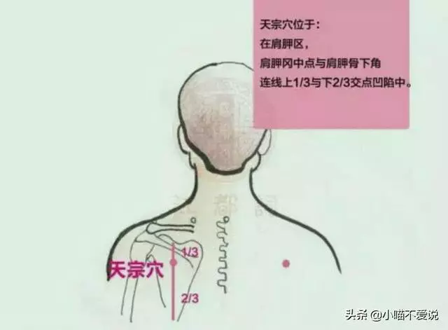 肩胛疼、肩周炎,刺激"4穴",做4事,肩膀變靈活,替爸媽收藏