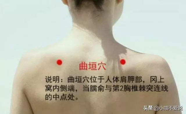 肩胛疼、肩周炎,刺激"4穴",做4事,肩膀變靈活,替爸媽收藏