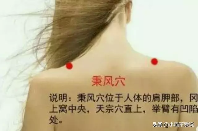 肩胛疼、肩周炎,刺激"4穴",做4事,肩膀變靈活,替爸媽收藏