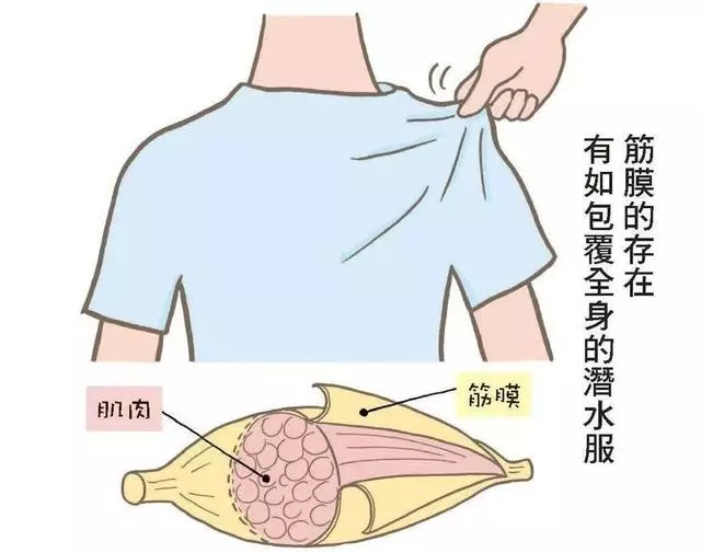 肩頸疼痛受不了,放鬆肩頸身體好