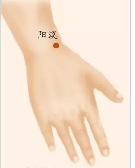 陽溪穴:五官科疾病的剋星,手三里穴:腹痛、齒痛、腰扭傷
