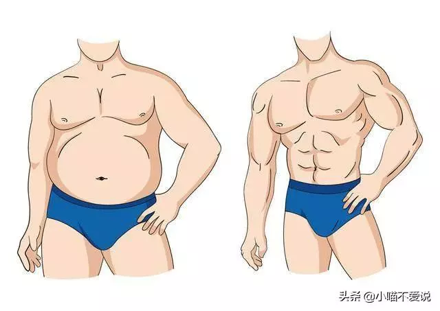 氣虛、陽虛、痰濕、濕熱型肥胖,4種胖人,有何症狀?如何改善?