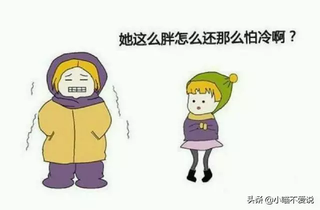 氣虛、陽虛、痰濕、濕熱型肥胖,4種胖人,有何症狀?如何改善?